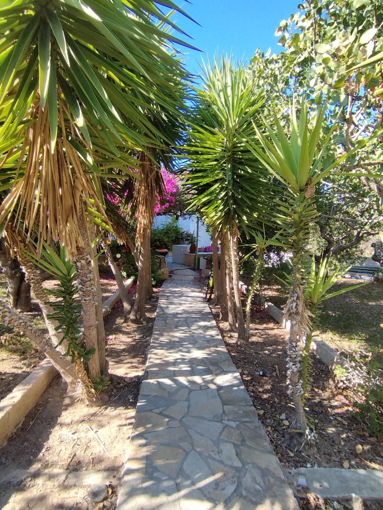 Solmar Aegina With Private Pool - Jacuzzi Apartment Khloi Exterior photo